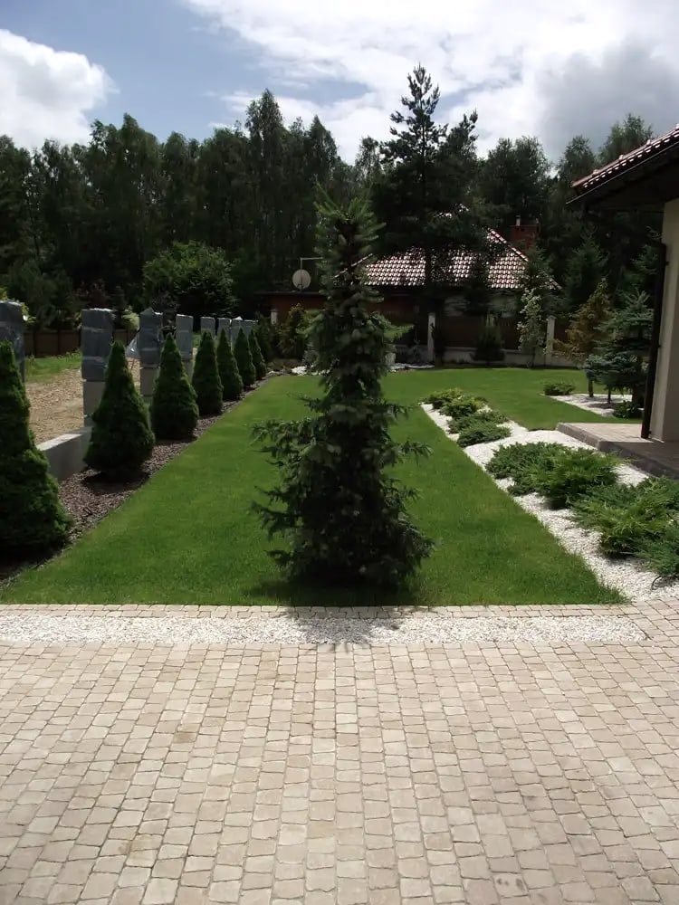Nawierzchnia z kostki granitowej przed ogrodem z trawnikiem i rzędami iglaków