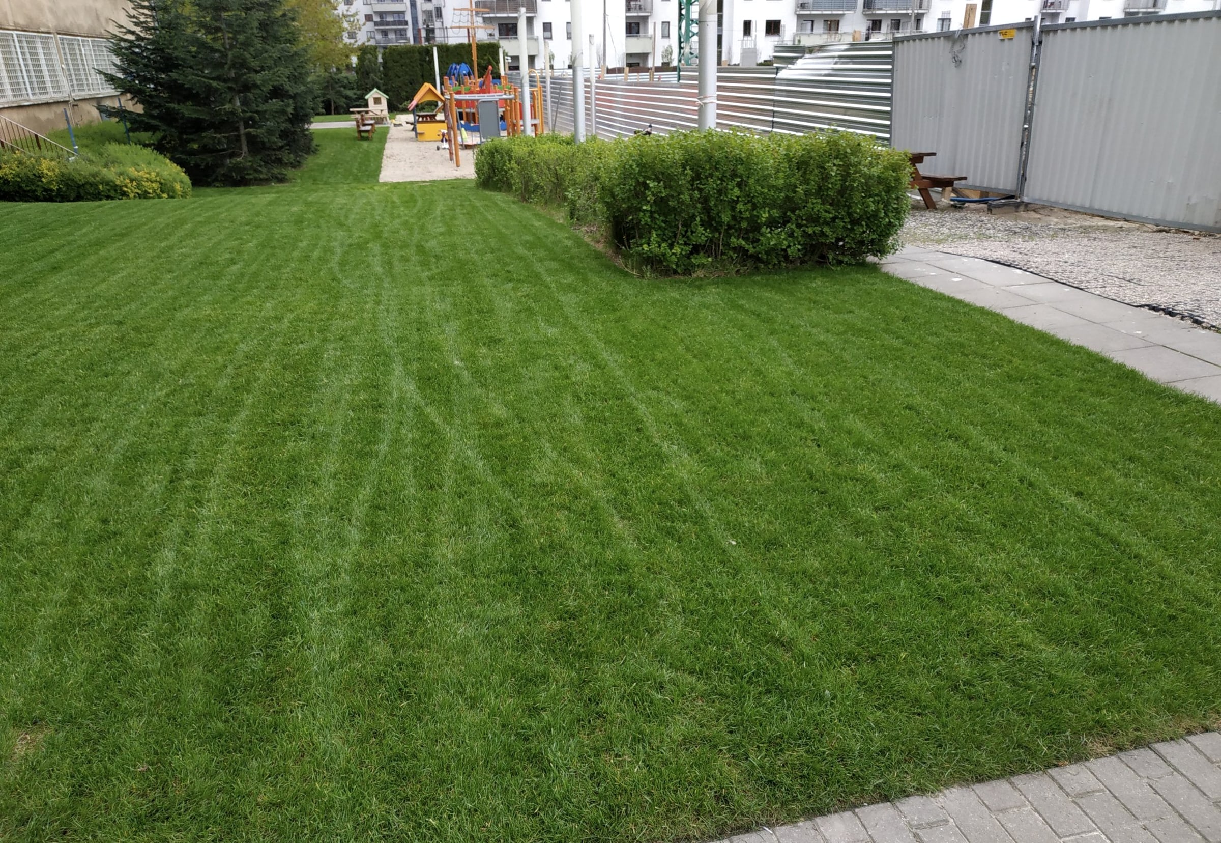 Równo skoszony trawnik na terenie wokół budynku